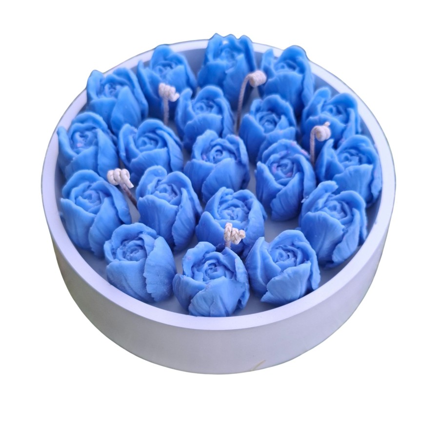 Tulpės XXL Mylimai mamai Tulpės XXL Mylimai mamai