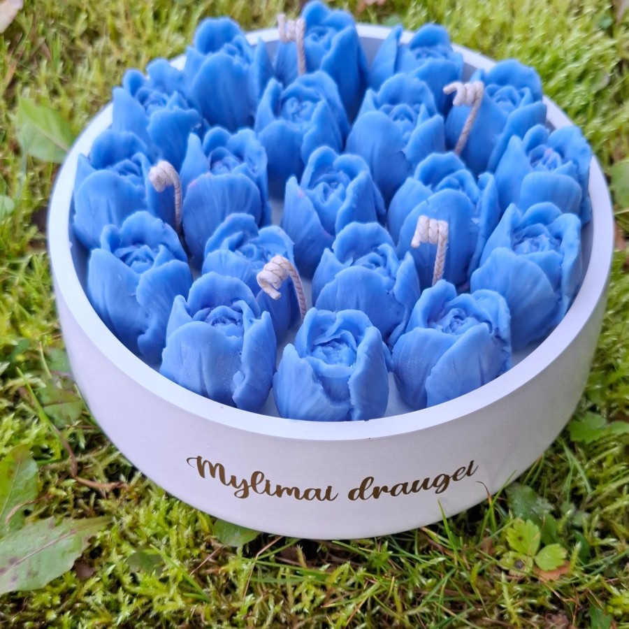 Tulpės XXL Mylimai mamai Tulpės XXL Mylimai mamai