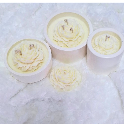 Dovana žvakė Bijūnas, skirtingi dydžiai