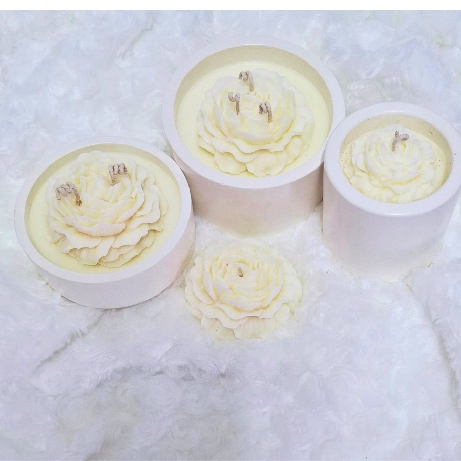 Dovana žvakė Bijūnas, skirtingi dydžiai