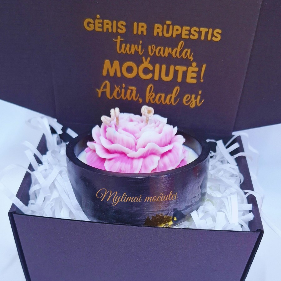 Dovana močiutei Bijūnas Dovana močiutei Bijūnas