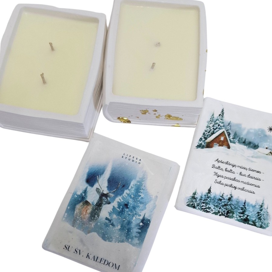 Rinkinys knyga , žaisliukas, angelo sparnai Rinkinys knyga , žaisliukas, angelo sparnai