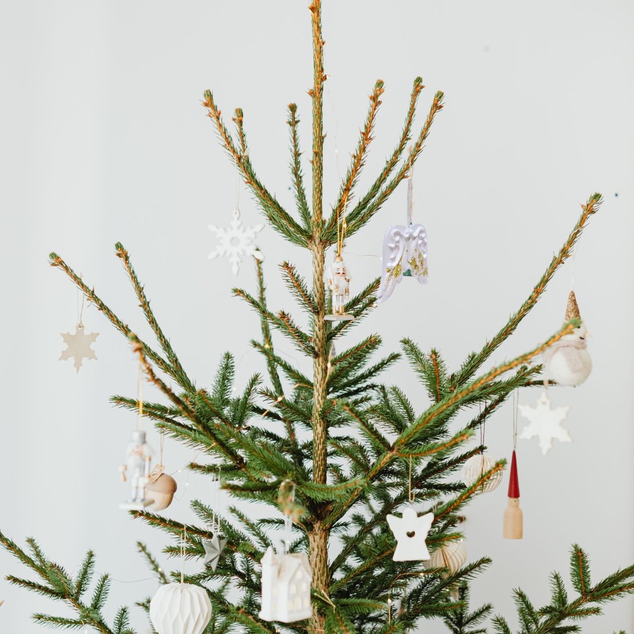 Sausas kvapas ir angelo sparnai rinkinys Sausas kvapas ir angelo sparnai rinkinys