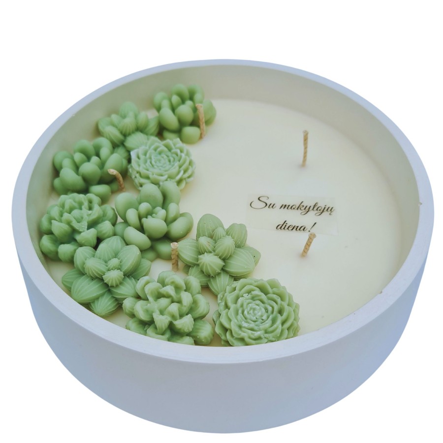 Sojų vaško žvakė Sukulentai, xxl