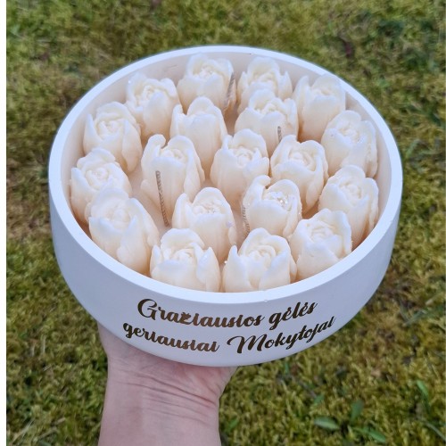 Tulpės XXL mokytojai
