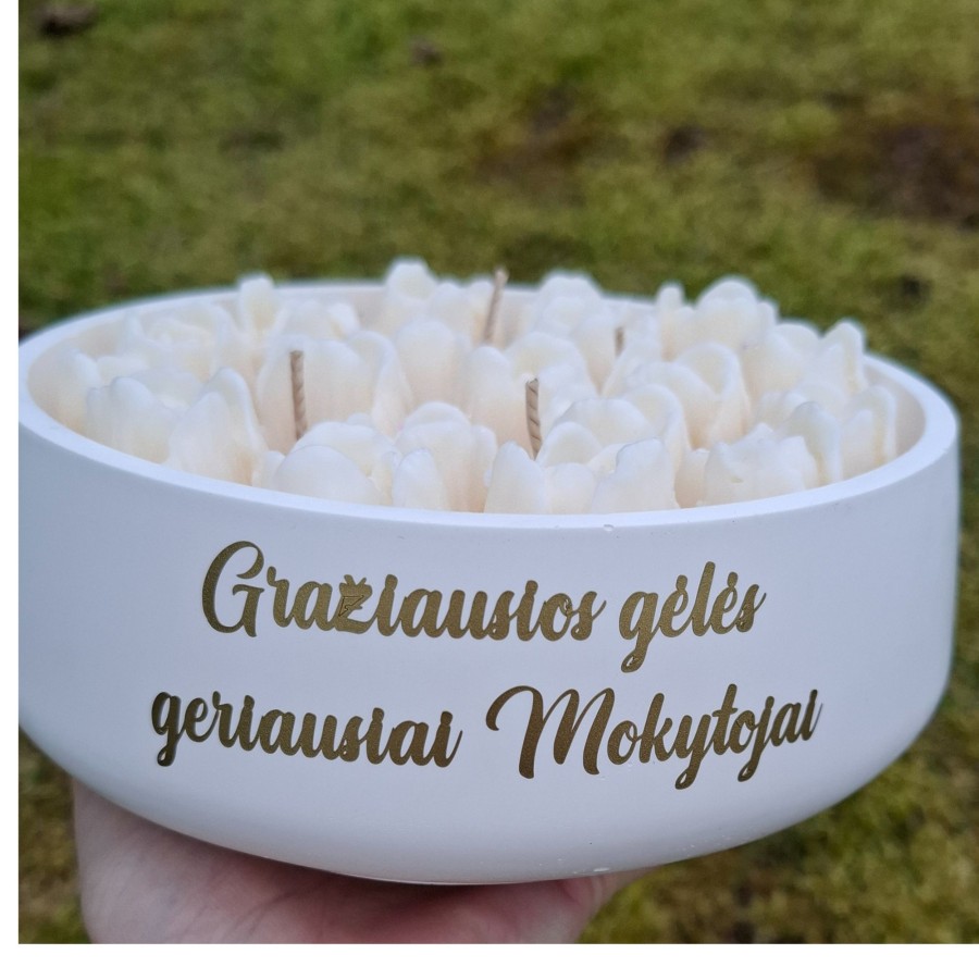 Tulpės XXL mokytojai