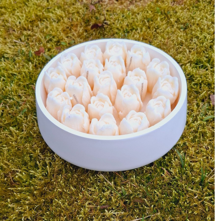 Tulpės XXL mokytojai